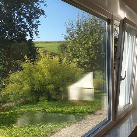 Quiet Business Flat Or Vacation Home In Bad Urach Esterno foto
