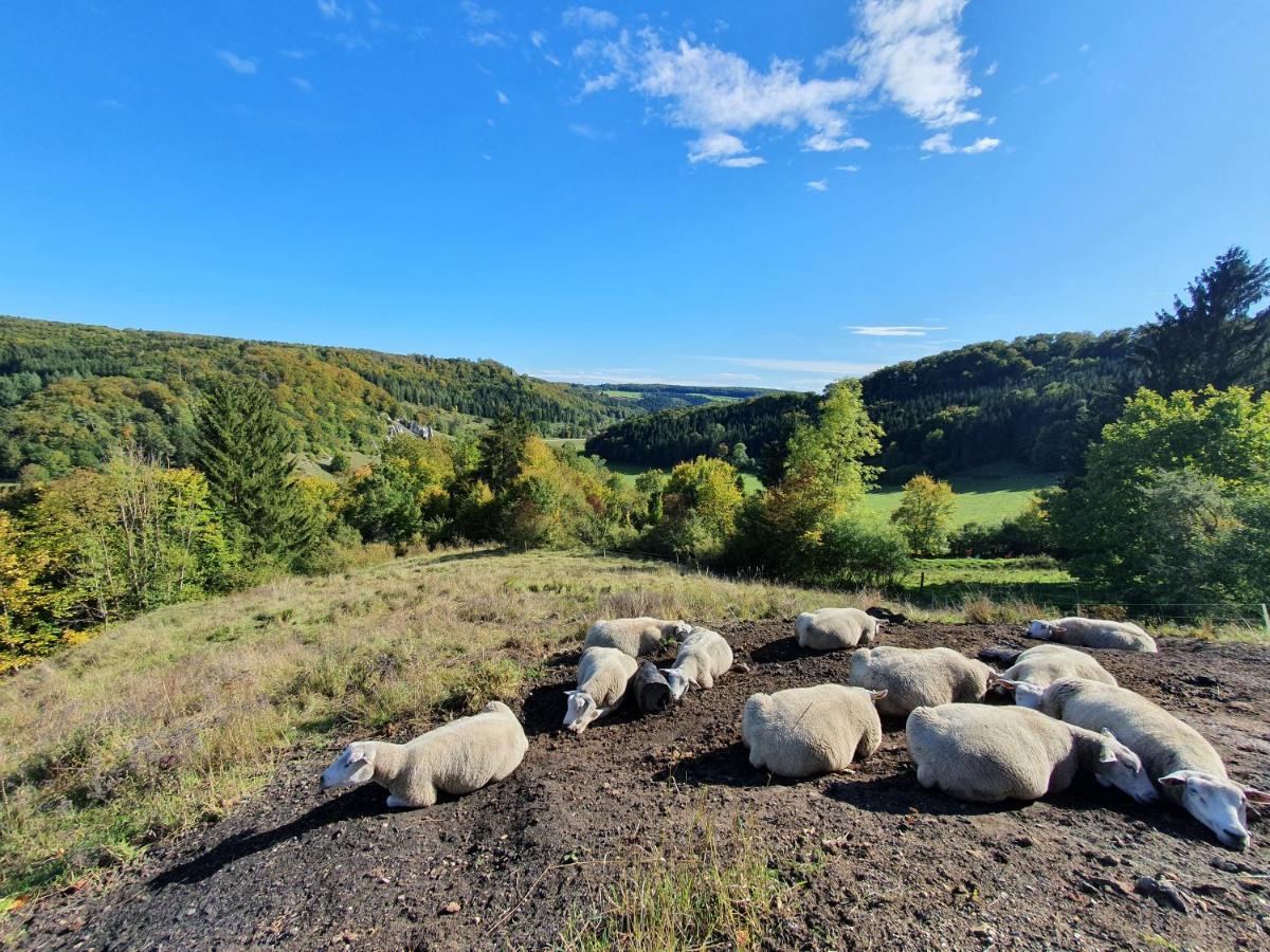 Quiet Business Flat Or Vacation Home In Bad Urach Esterno foto